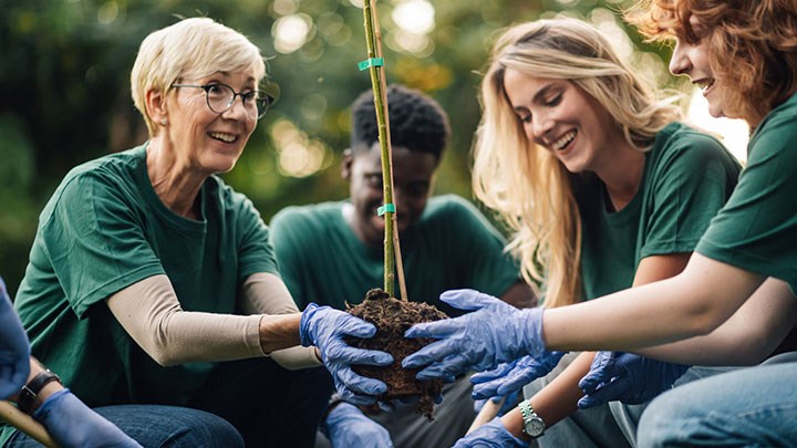 Several people sitting on the ground, holding a tree-seedling planted in soil together. 