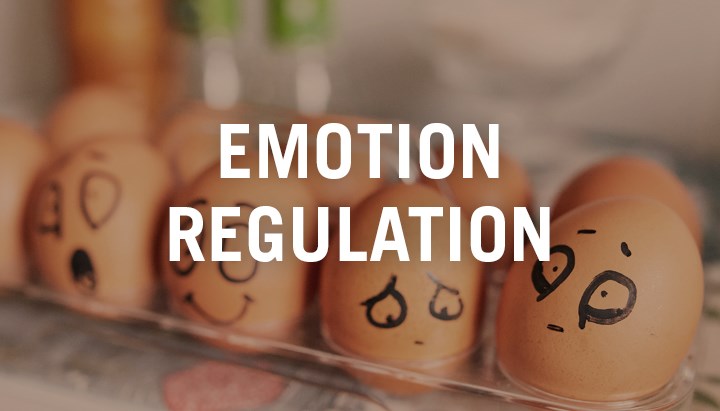 Emotions illustrated by painted faces on brown eggs.