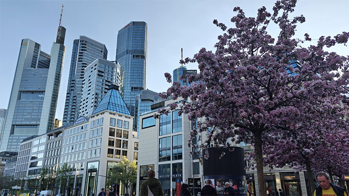 Staden Frankfurt