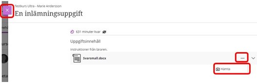 Skämbild inlämningsvy
