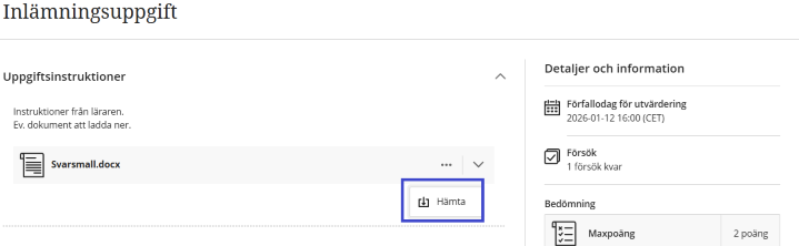 sk&auml;rmbild h&auml;mta fil