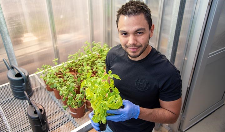 Victor Castro-Alves in the greenhouse.