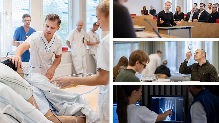 Ett montage av bilder från studenter som utbildas på olika utbildningar.