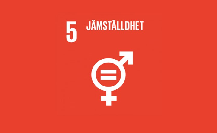 Globala målen agenda 2030, fem jämställdhet.
