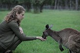 A kangaroo eats from a woman's outstretched hand.