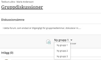 Skärmbild gruppdiskussion