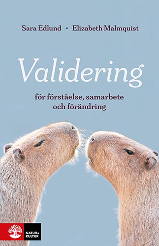 Bokomslag till boken "Validering".