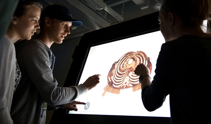 Students looking at a large screen.