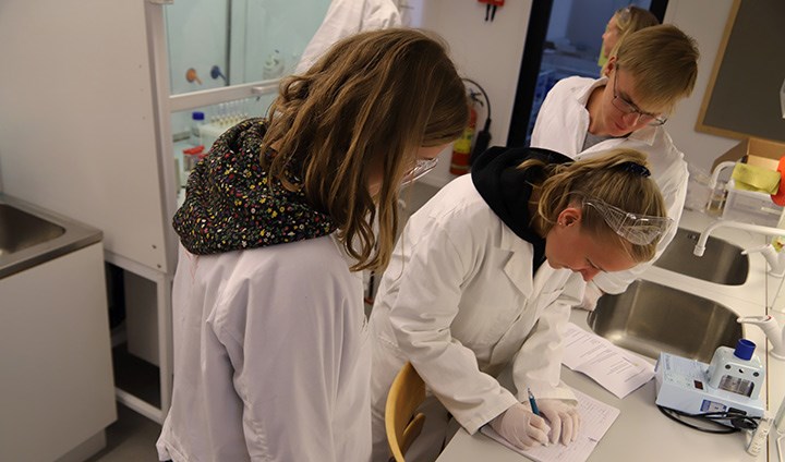 Gymnasieelever arbetar i labbet på Möckelngymnasiet i Karlskoga.