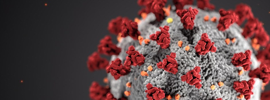Mikroskopbild av Corona-virus.