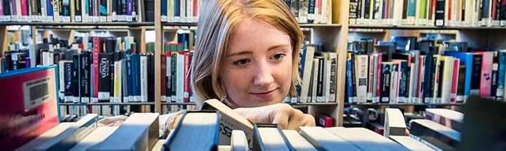 Bibliotek