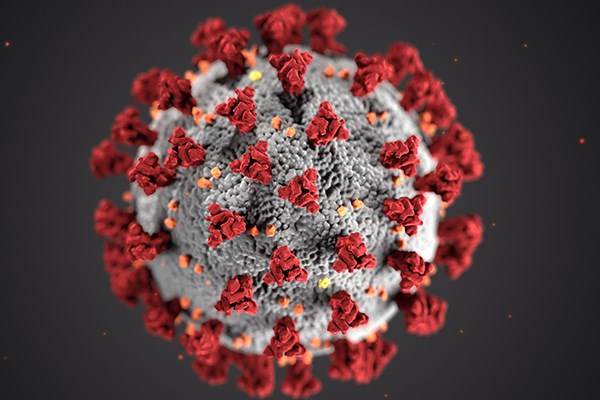 Mikroskopbild på coronavirus.