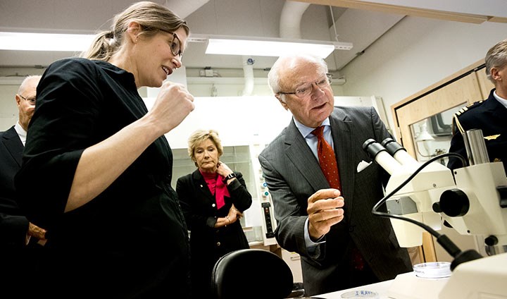 Anna Rotander låter kung Carl XVI Gustaf få en titt i mikroskopet.
