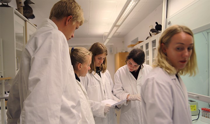 Gymnasieelever i labbet på Möckelngymnasiet i Karlskoga.