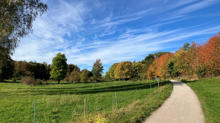 Markaskogen