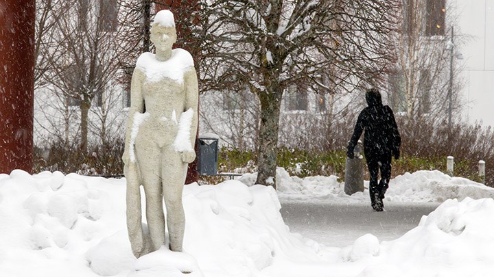 Krakastayn i ett snöfall.