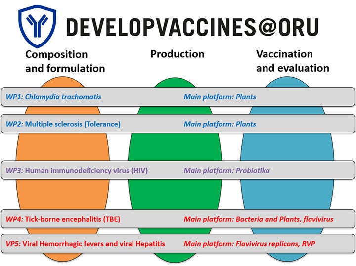 Developvaccines grafik Composition and formulation, Production, Vaccin and evulation.