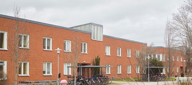Dorm room accommodation on campus (Studentgatan).