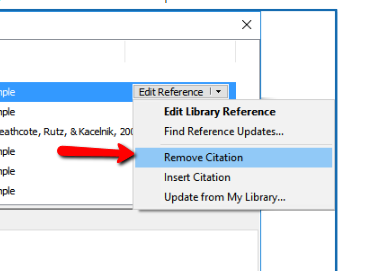 Skärmutklipp från EndNote med valet "Remove Citation" markerat i menyn för "Edit Reference".