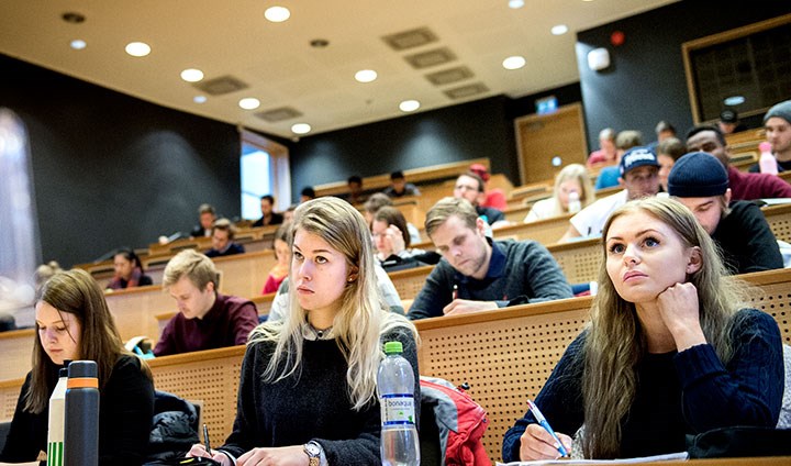 Undervisning och studiemiljö