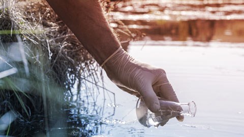 A body of water and a hand wearing a transparent glove, holding a sample bottle above the water’s surface.