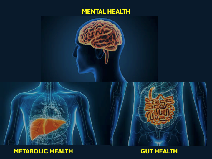 Bild över mental health, gut health, metabolic health 
