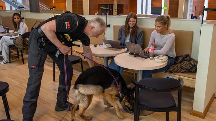 Två studenter sitter vid två små runda bord. En securitasvakt och en schäfer undersöker platsen där de sitter.