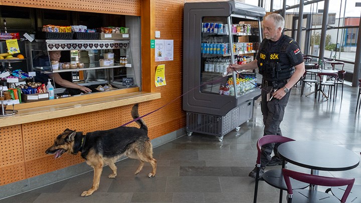 En schäfer och en man från säkerhetsföretaget Securitas vid Café Pregro på Musikhögskolan. 