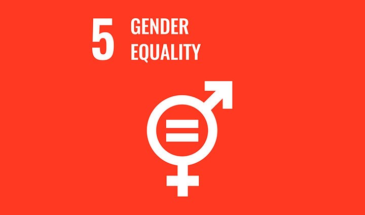 Gender goal 5. 