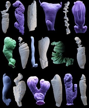 Sculptures of various shapes.