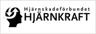 The Swedish organization for people with acquired brain injury ? Hjärnskadeförbundet Hjärnkraft