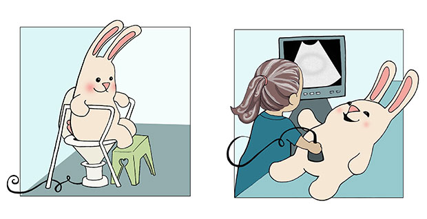 Animated rabbits sitting on the toilet taking an ultrasound.