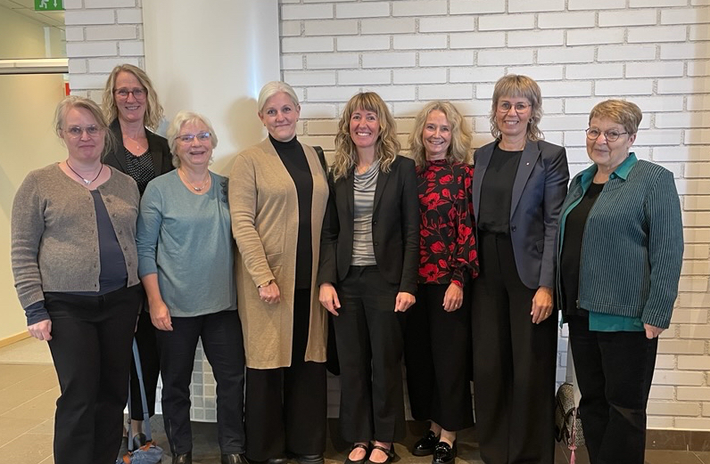 Parts of the research group TOVA. From the left: Sara Wallin Ahlström, Johanna Åkerlund, Birgitta Wennberg, Ann-Christine Persson, Maria Wingren, Kajsa Lidström-Holmqvist, Marie Holmefur, Gunnel Janeslätt.