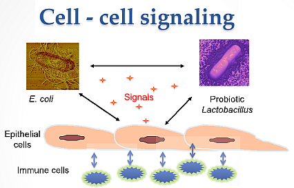 Picture of cell - cell signaling