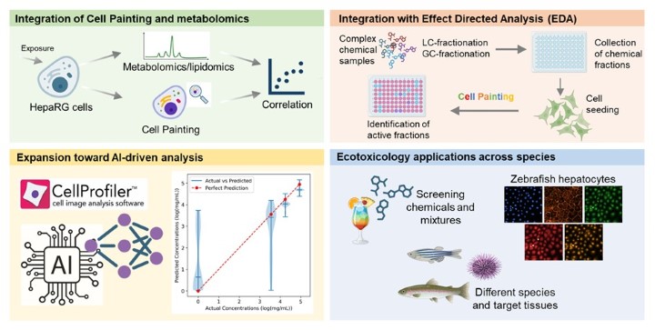 Figure 3: Examples of novel methodological and application-specific advances in Cell Painting at Örebro University.
