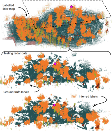 Tr&auml;dstammar och tr&auml;dkronor som identifierats i radardata