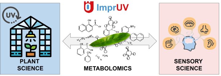 ImprUV