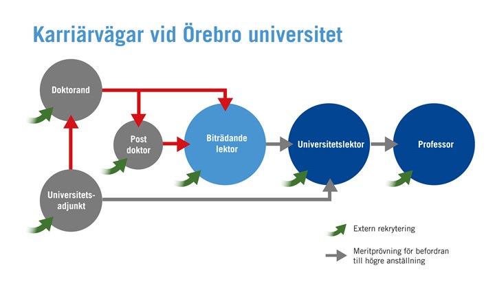 Bild över karriärvägar