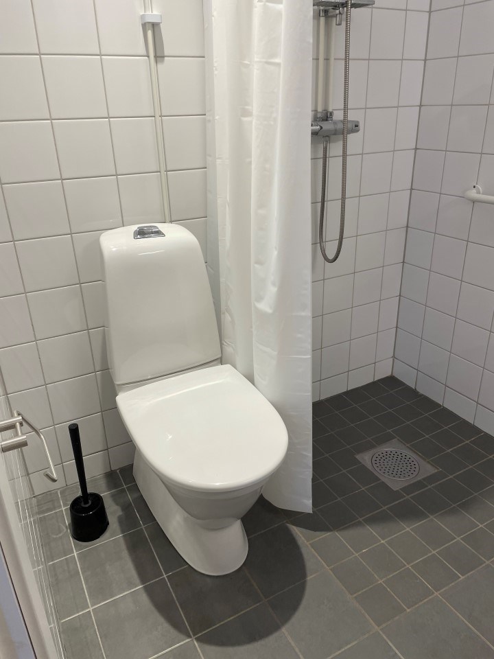 toilet.jpg