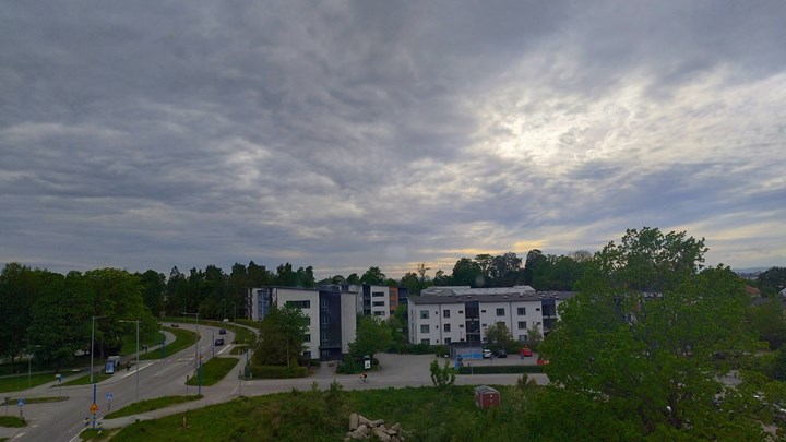 View from the Oak