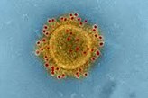 Coronavirus