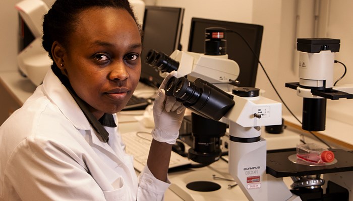 Researcher at microscope 