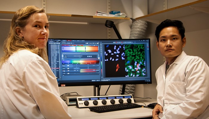 Researcher in front of screen