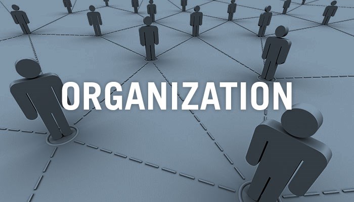 Organization