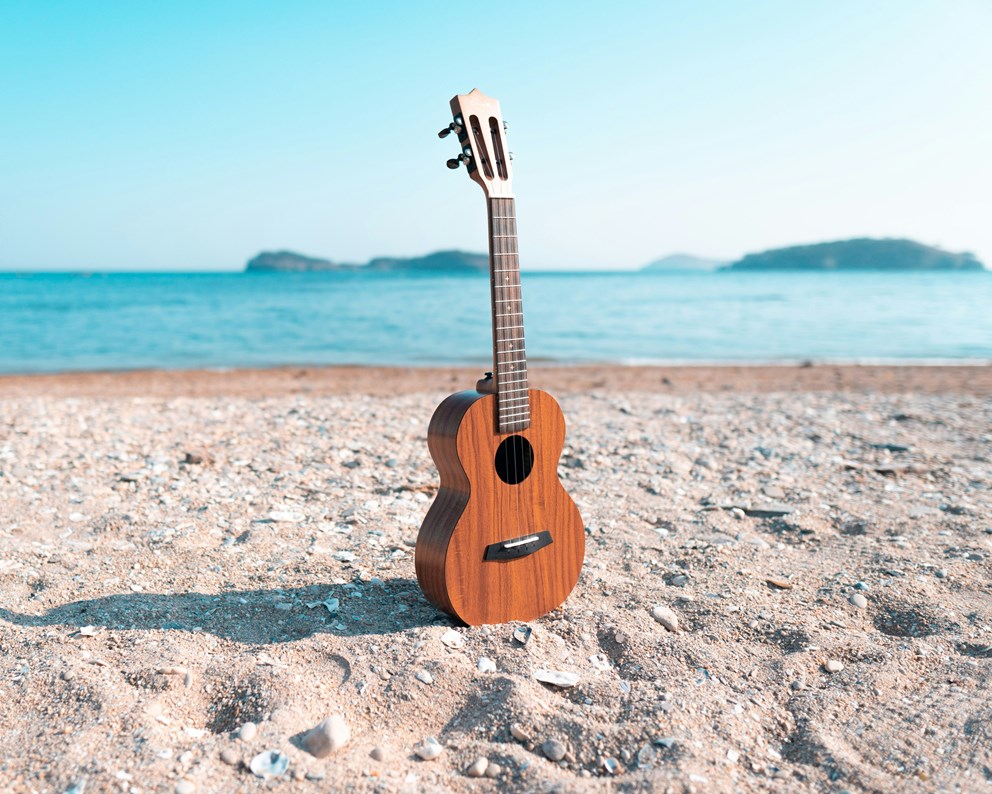 Gitarr på strand