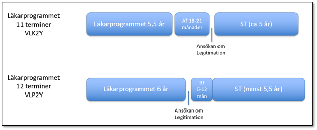 Skillnad gällande när legitimation ges för nuvarande och nya läkarprogrammet