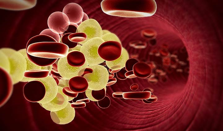 Fettceller i blodkärl