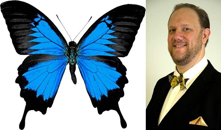 En blå fjäril och en bild på Gabriel Sjölin