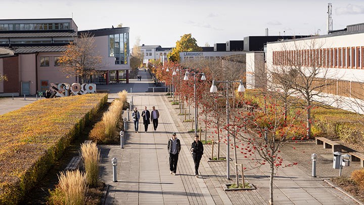 Örebro university