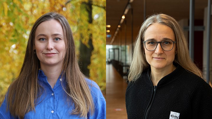 Dubbelporträtt på kvinnor
